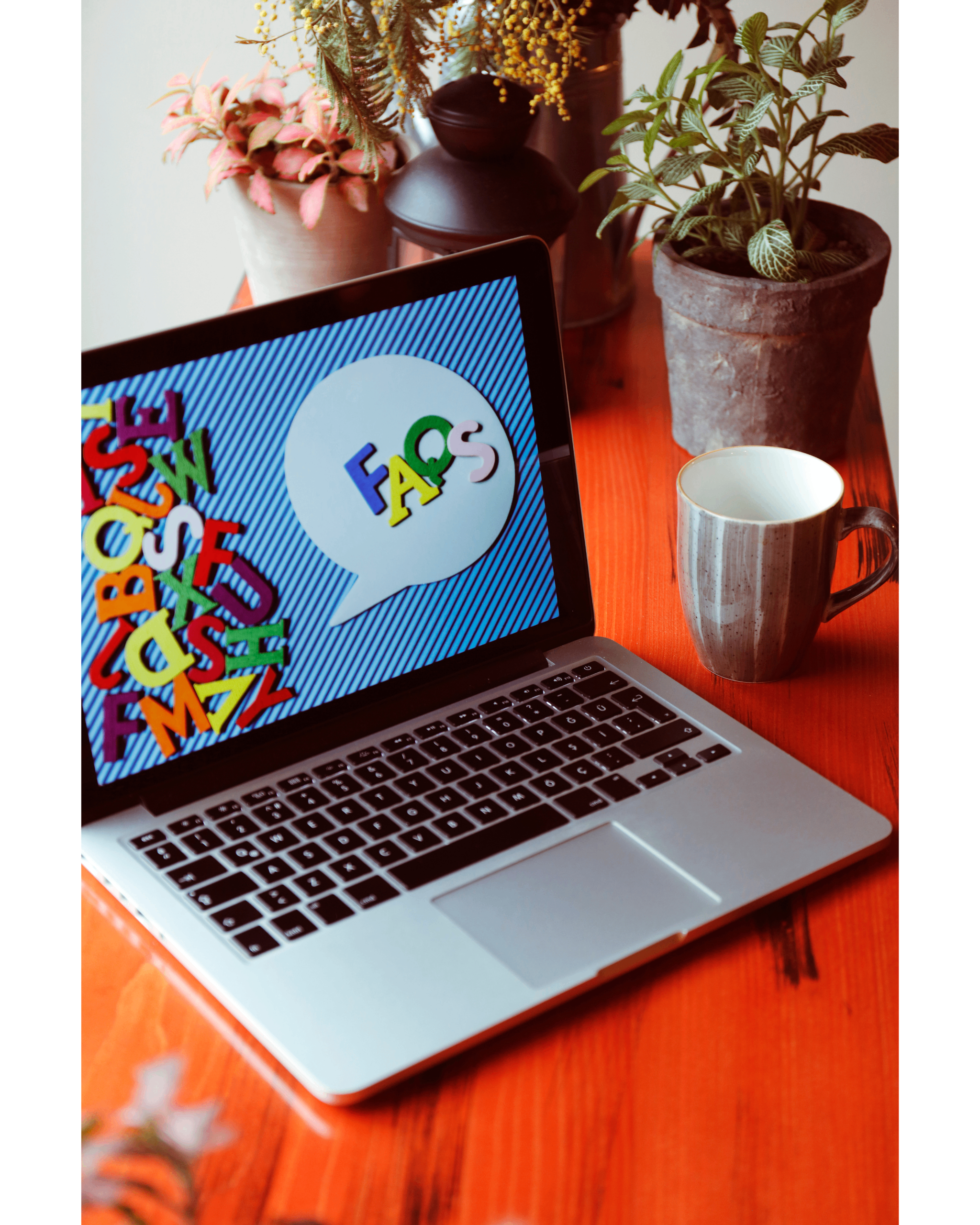 faqs-divine-mercy-academy